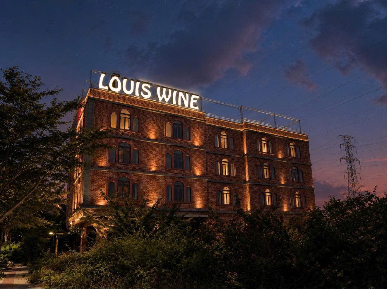 Louis Wine Da Nang at night