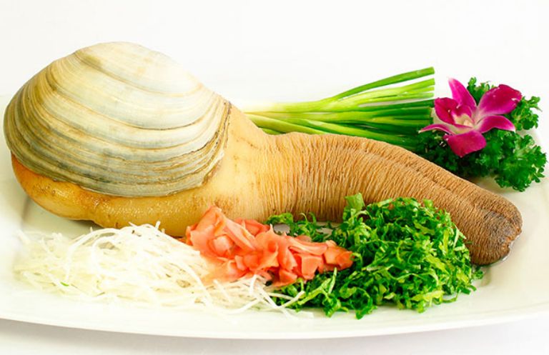 Geoduck clam